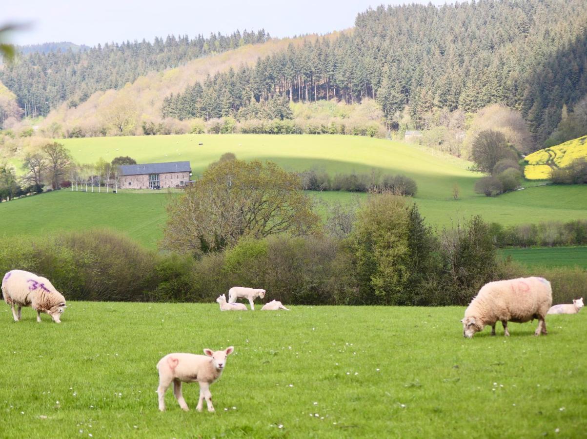 Cosy Cabins Without Hot Tub - Greenway Farm, Drybrook, Forest Of Dean Exterior photo