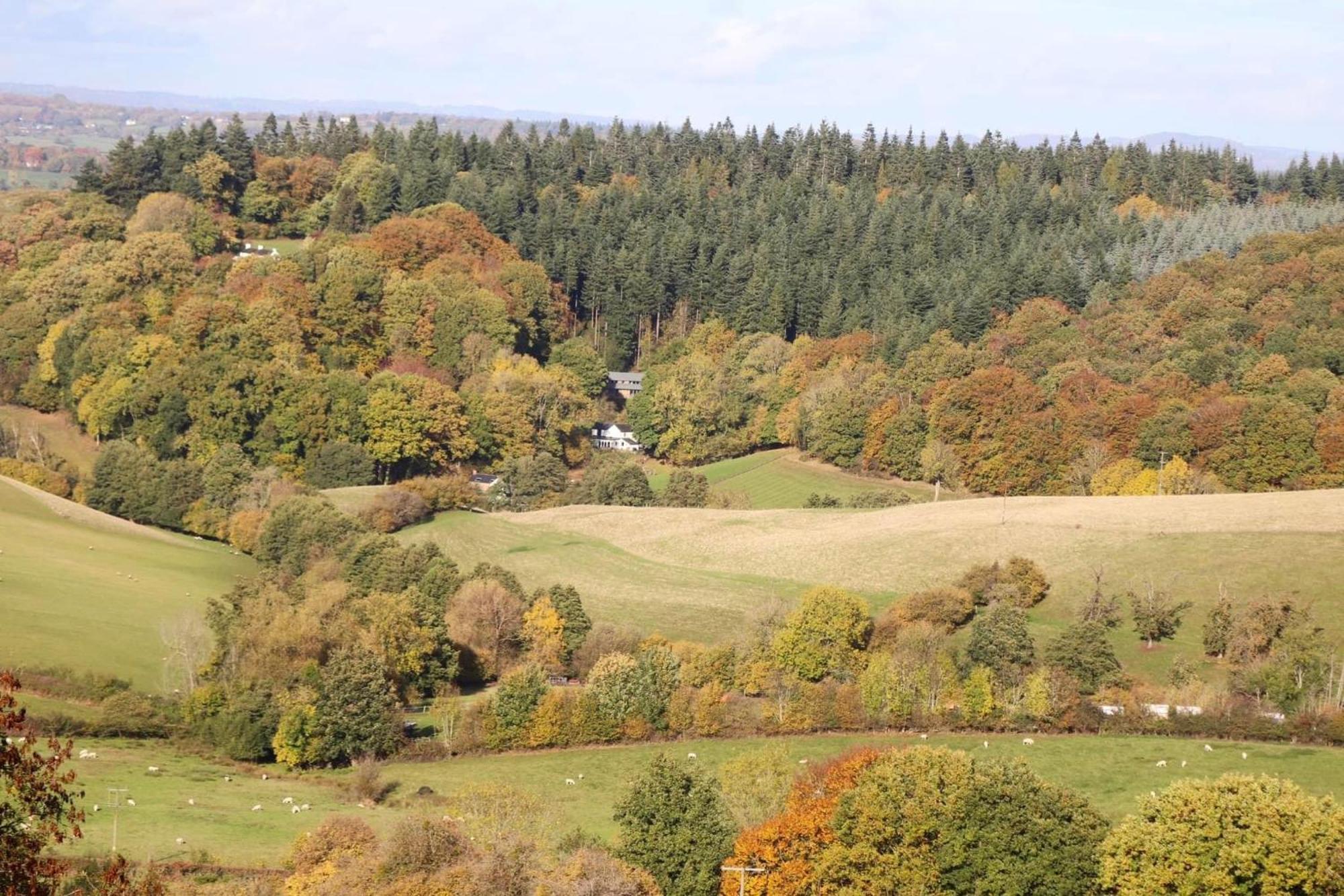 Cosy Cabins Without Hot Tub - Greenway Farm, Drybrook, Forest Of Dean Exterior photo